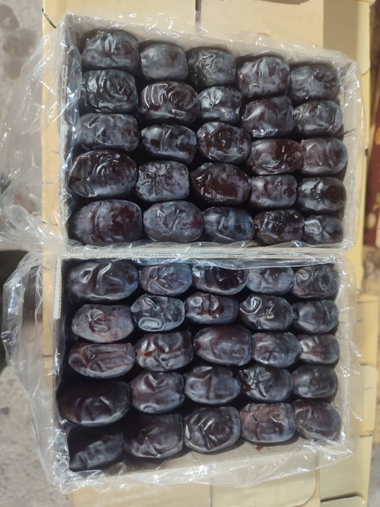 خرما مضافتی سه ردیفه جیرفت